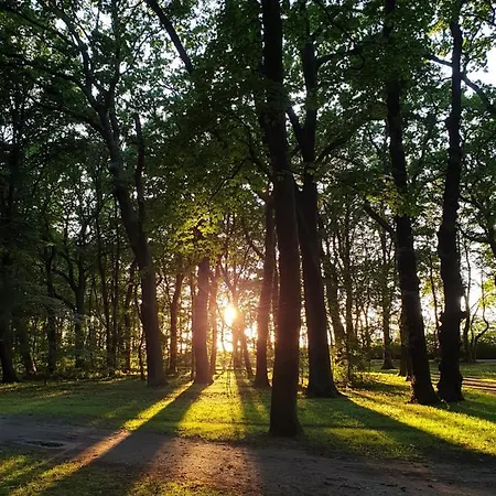 아파트 Private Apartment, Aircondition, Hd Tv Pl & De, Wifi, Garage, Fully Equipped, Near