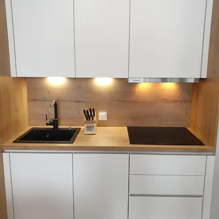 Private Apartment, Aircondition, Hd Tv Pl & De, Wifi, Garage, Fully Equipped, Near 아파트 코워브제크