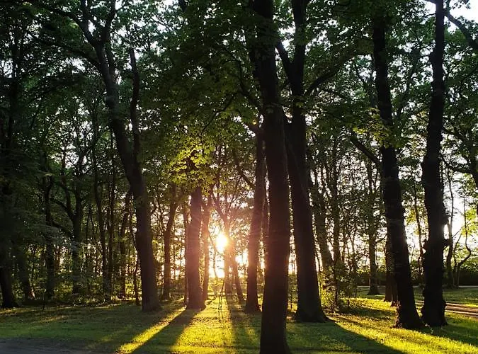 Apartment Private Apartment, Aircondition, Hd Tv Pl & De, Wifi, Garage, Fully Equipped, Near